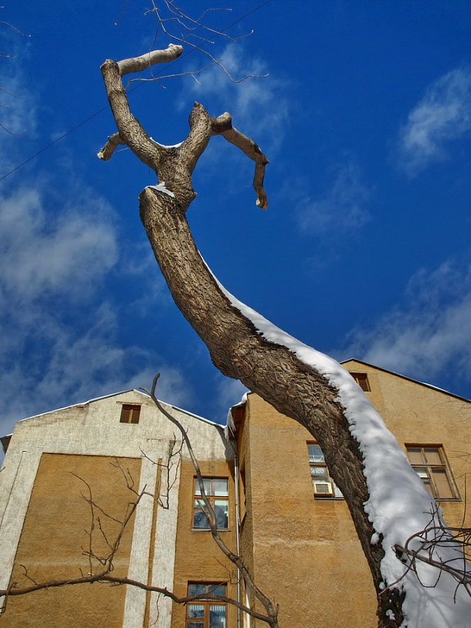 Городской сюжет