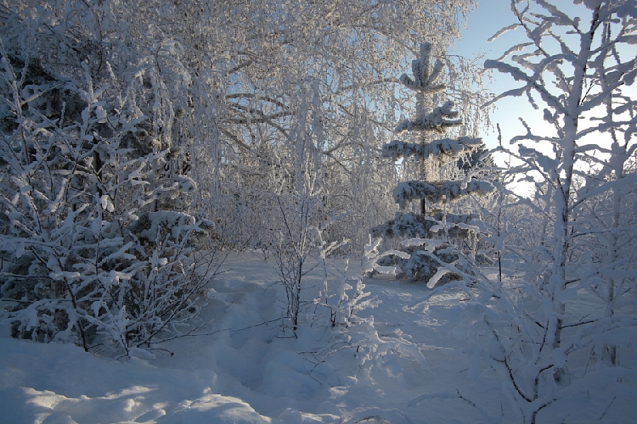 Зимние (серия)