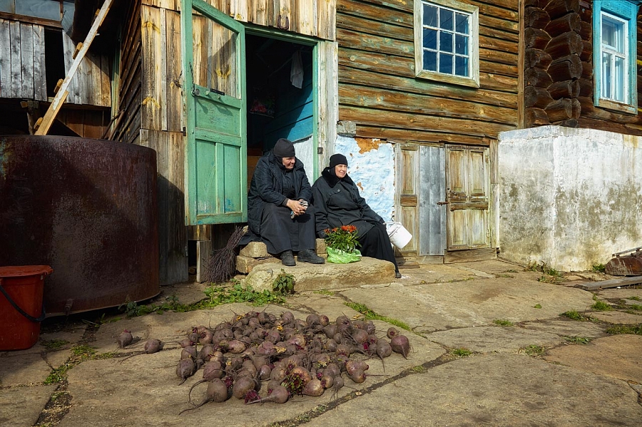 Урожай