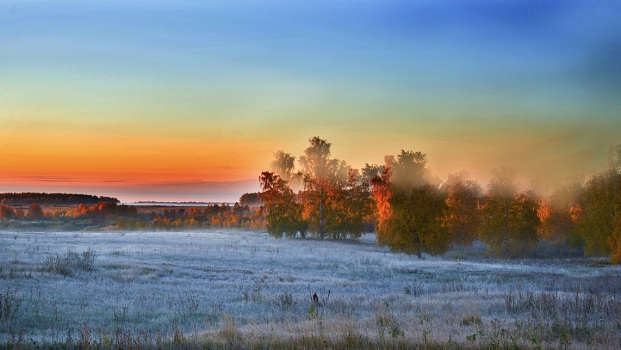 ПЕРВЫЕ ЗАМОРОЗКИ