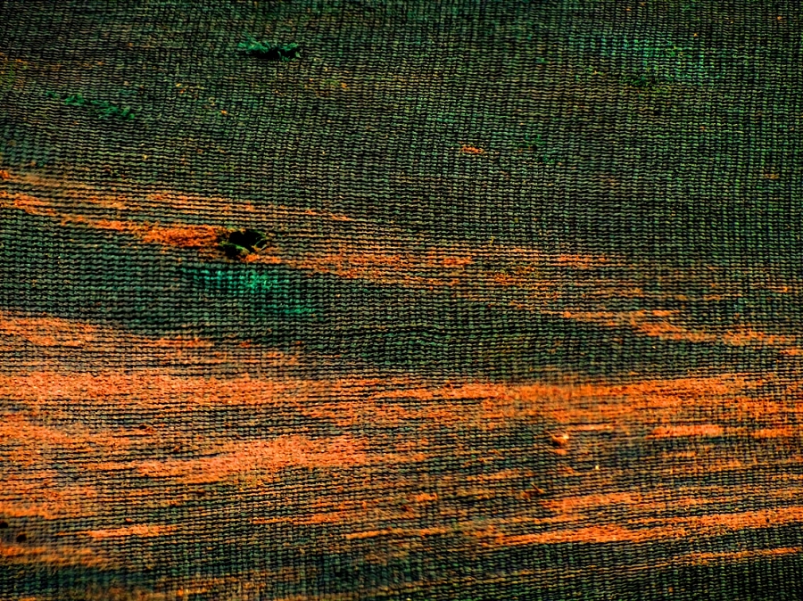 2013. ****