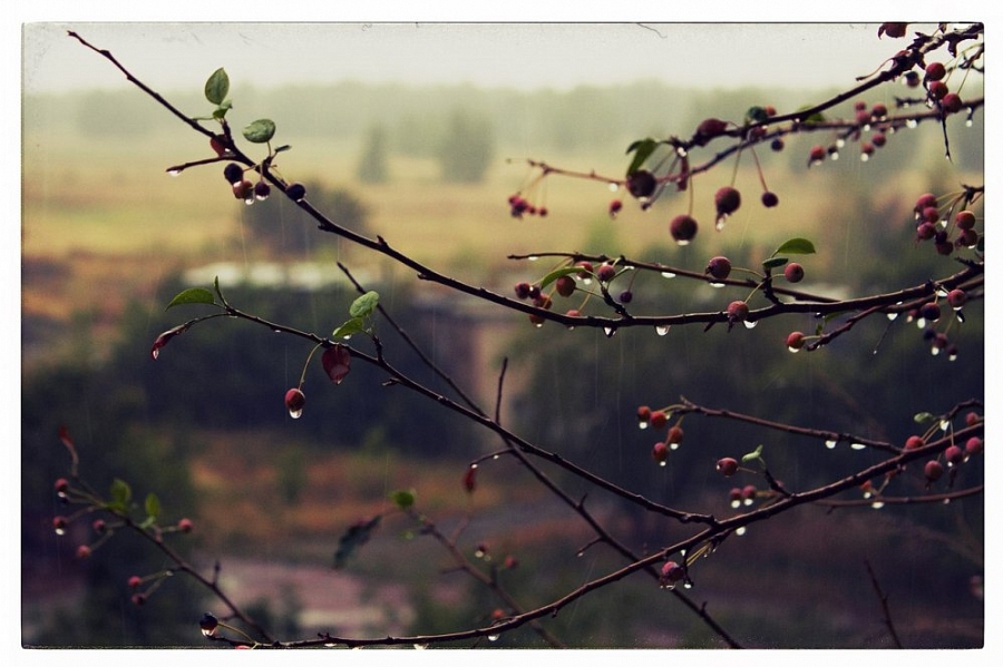Осень
