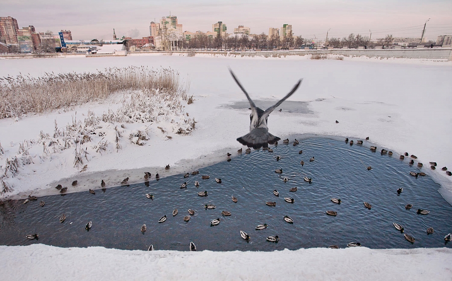 город