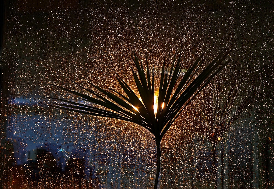 Окно в дождь