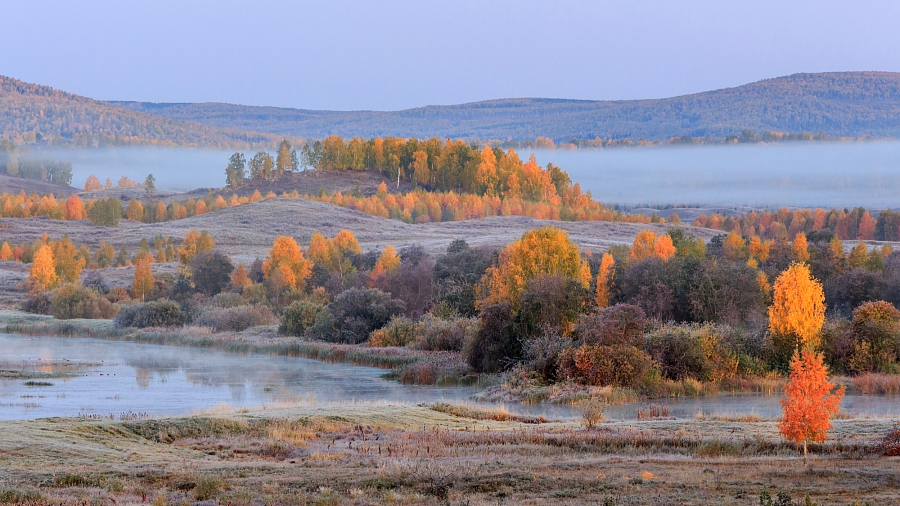 Элегия осеннего утра