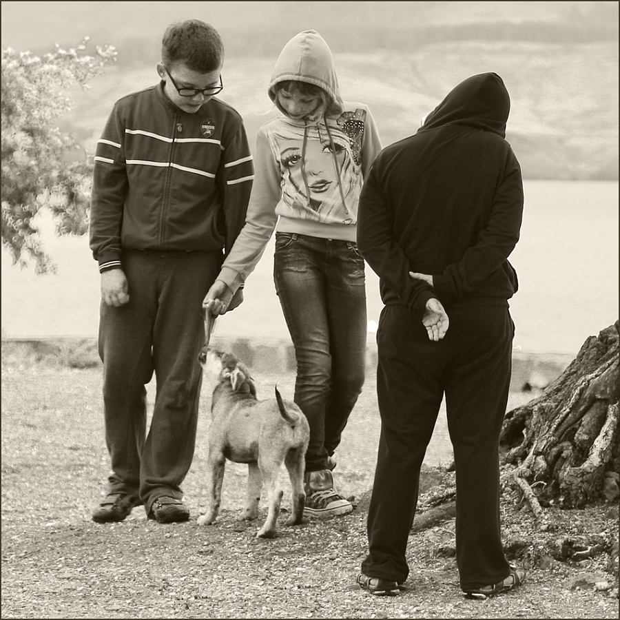 три подростка и собака