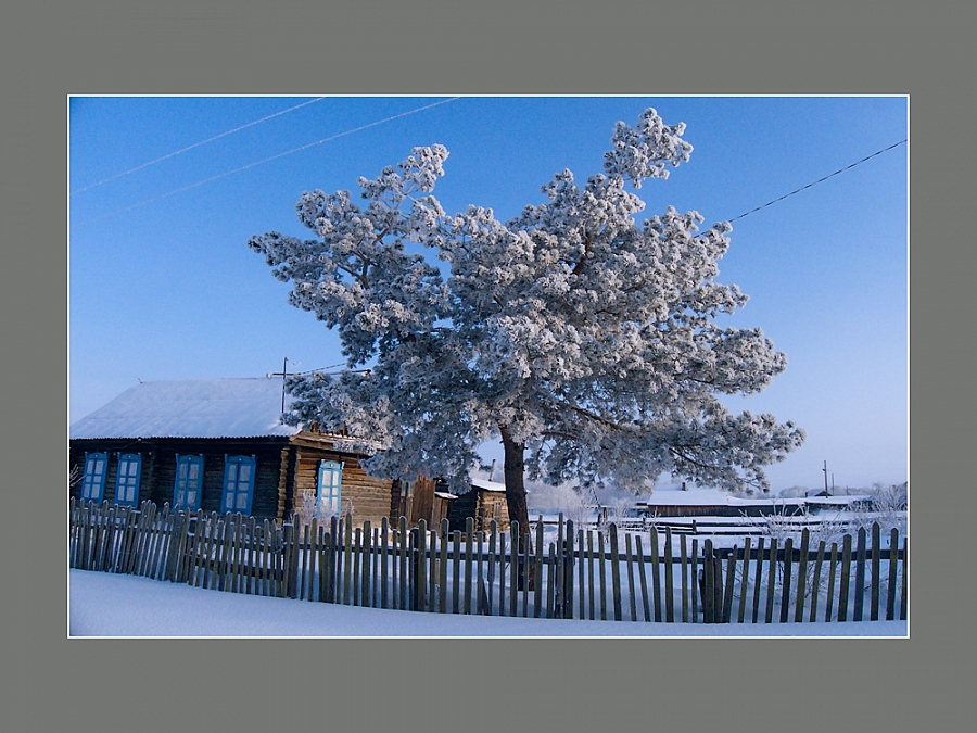 Зимний полдень