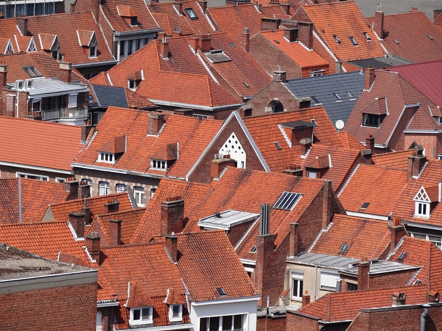 2014. Франция. Крыши города Турно
