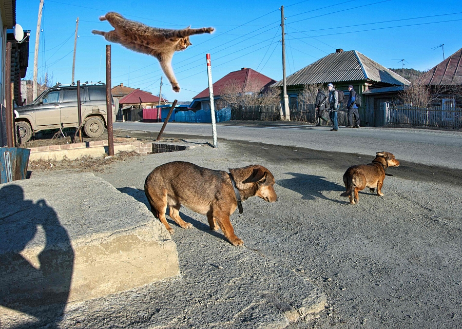 Поймать момент