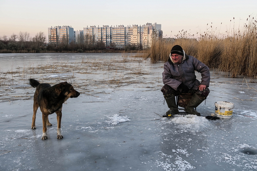 Диалог