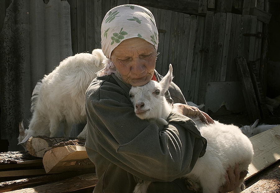 Сергей Зырянов. Любимица. 2 место (27 + 2 = 29 баллов)