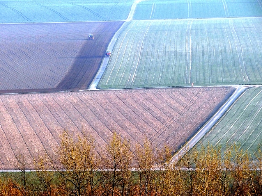 2010. Окрестности Вюрзелена.