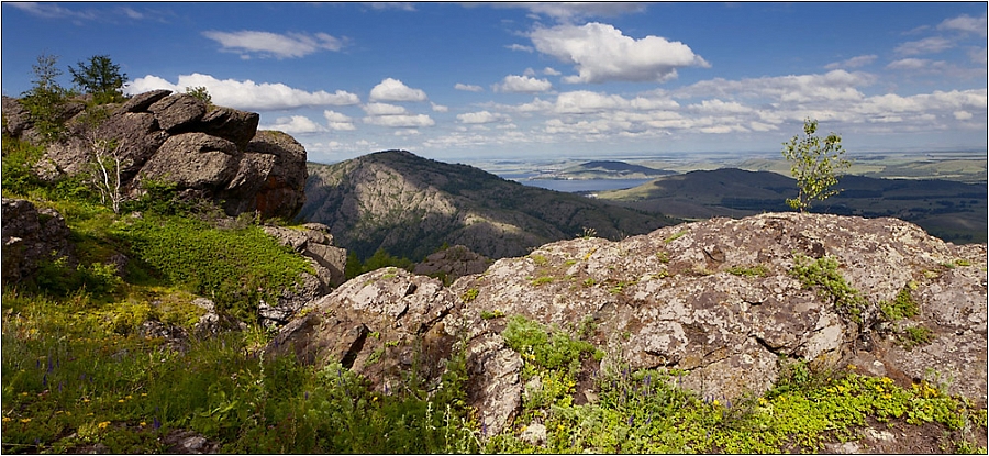 Летняя панорама