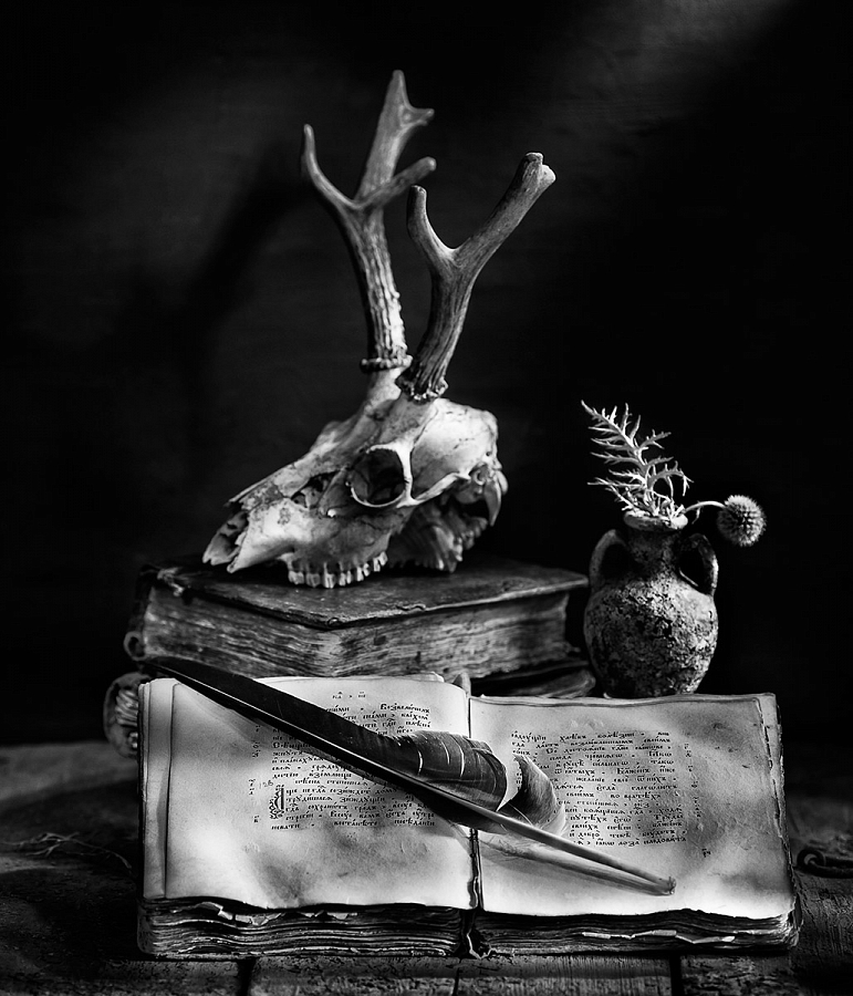 Олег Астахов. Серия «Древние книги». 1 место, 35 баллов (серия)