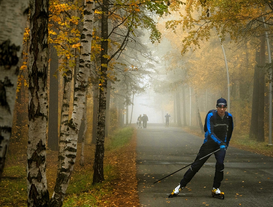На лесных дорожках