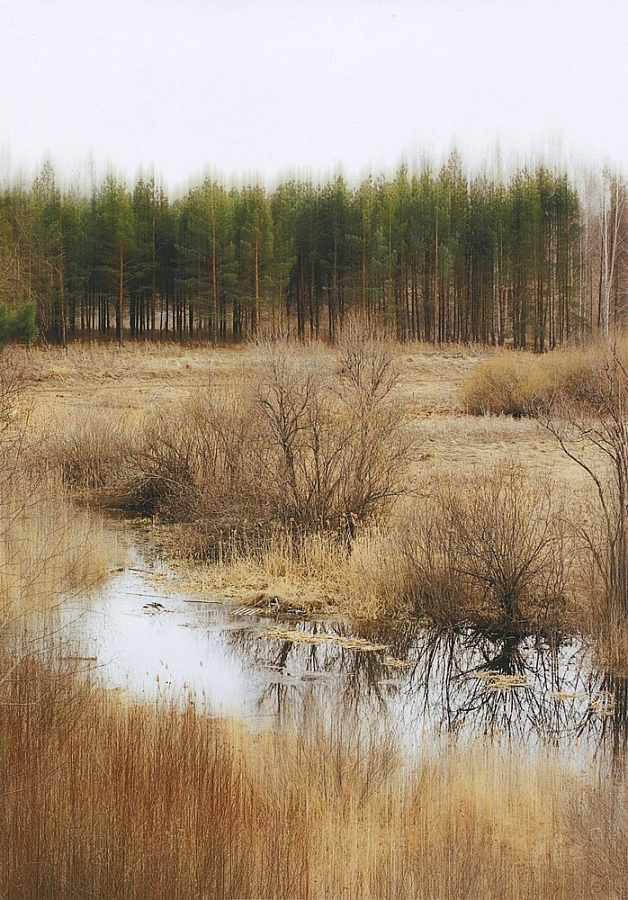 Алена Самойлова, «Без названия»