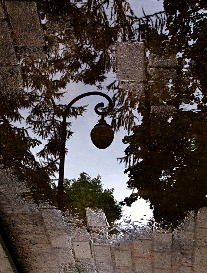 Отражения (серия)