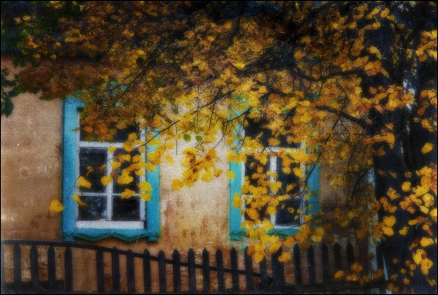 осеннее солнце гладит бурые крыши
