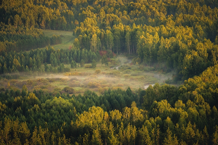 Дыхание осени