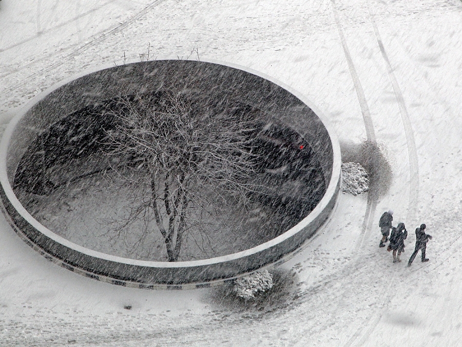 Д. Челяпин. Обошли природу