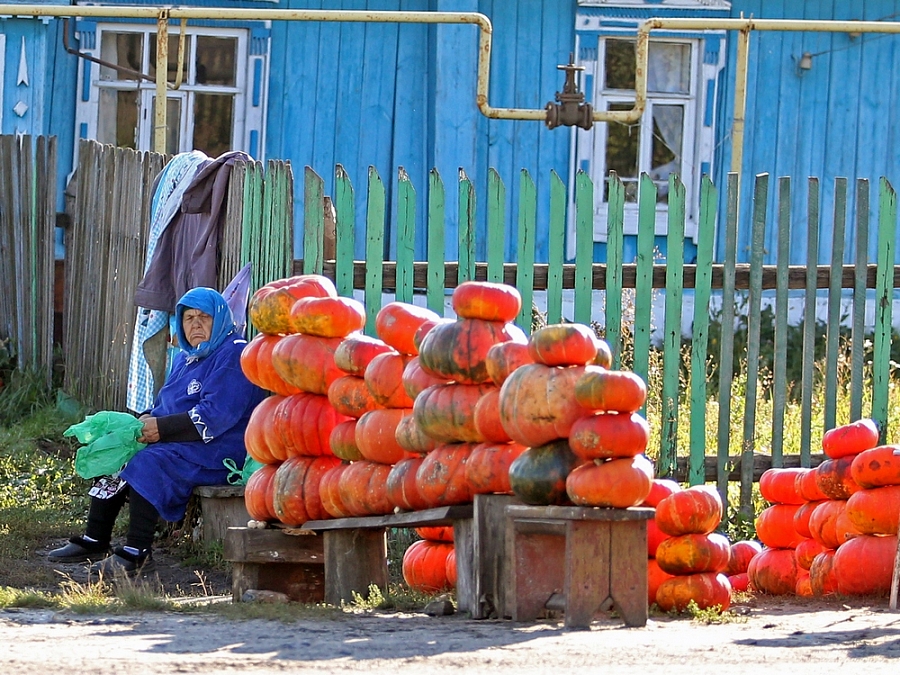 Охрана урожая.
