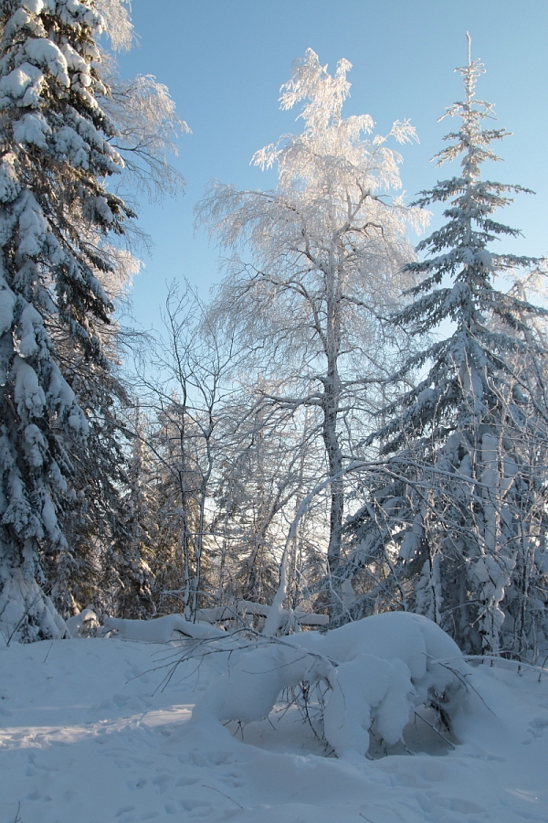 Заячья поляна