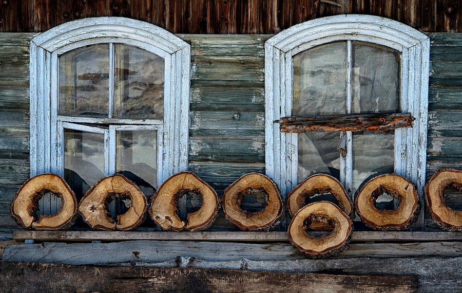 Годичные кольца