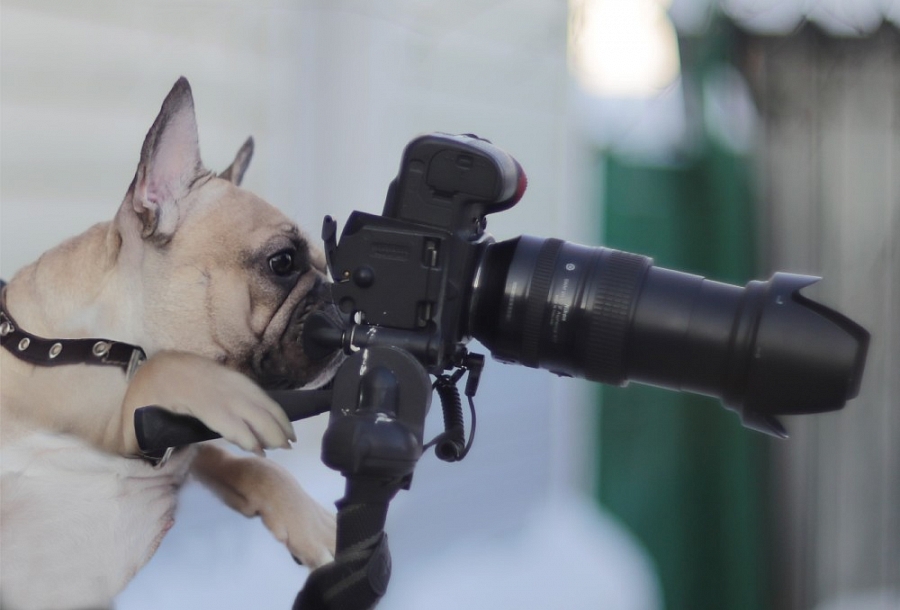 Фотошкола Виталия Воронина.&nbsp;&nbsp;Научим любого.