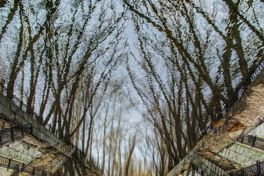 *** (серия)