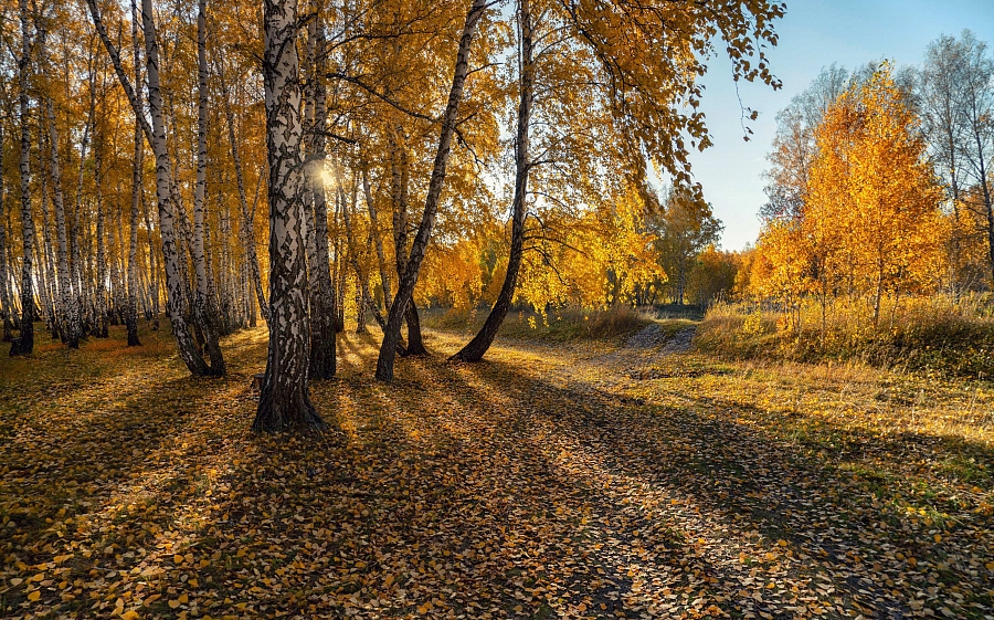 Ничего особенного,&nbsp;&nbsp;осень