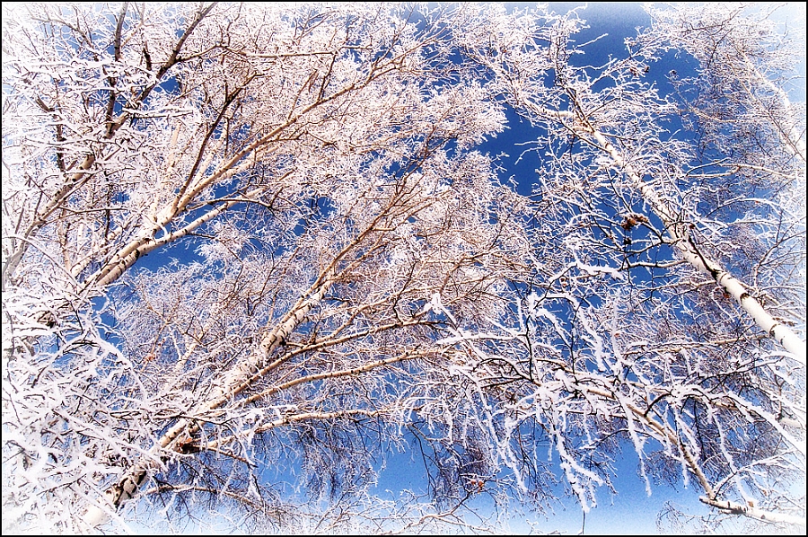 Орнамент