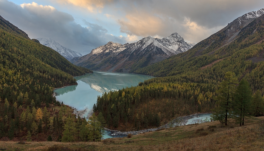 Кучерла