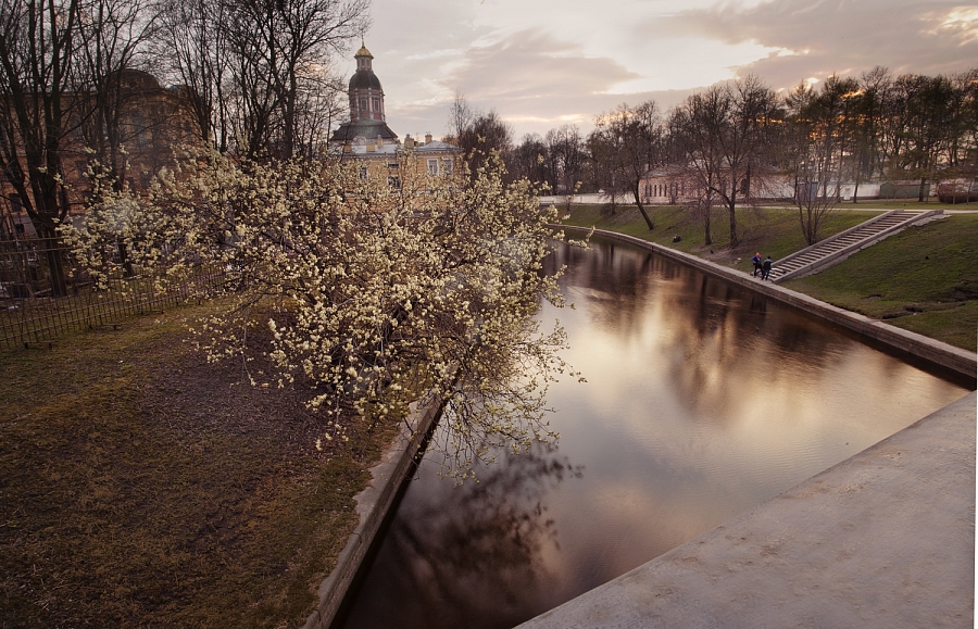 верба