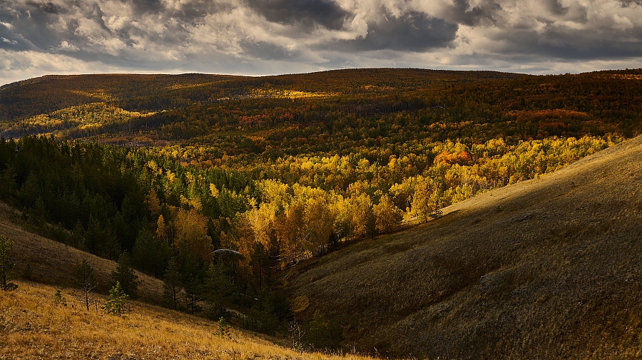 Осенние просторы