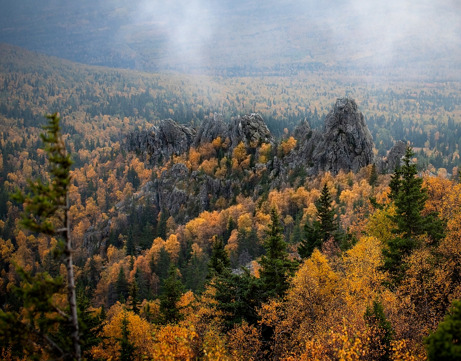 Ялангас