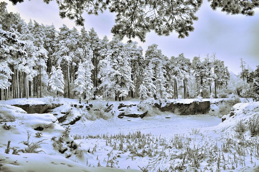 зима_ 1